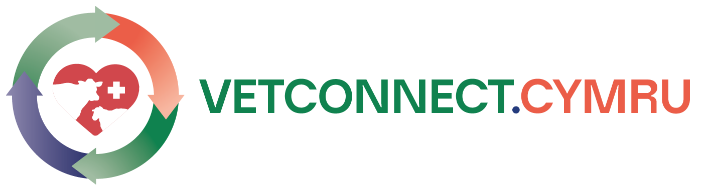 Vet Connect